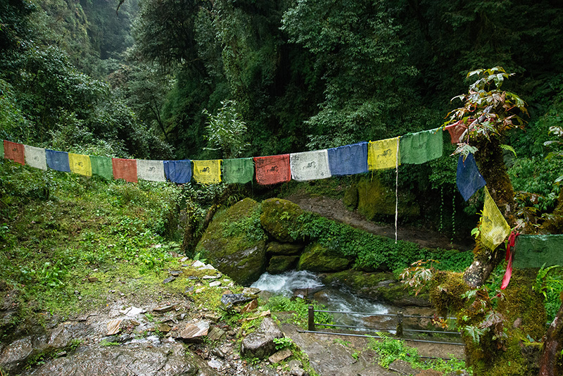Pokhara- Hulle - Ghorepani 23-09-16