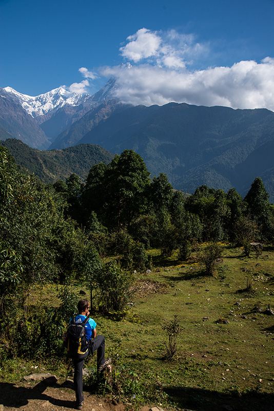 Tadapani-KimchÃ©-Pokhara