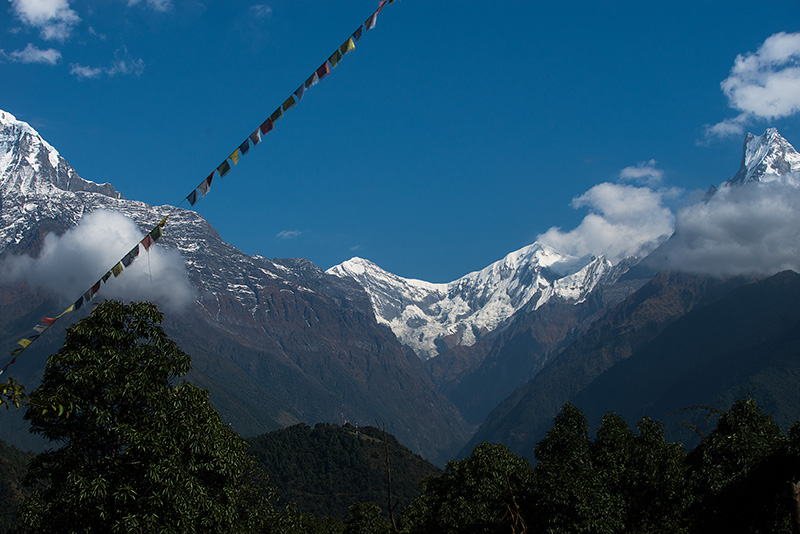 Tadapani-KimchÃ©-Pokhara