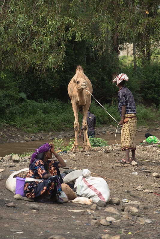 Etiopia - Addis Abeba - 

Kombolcha