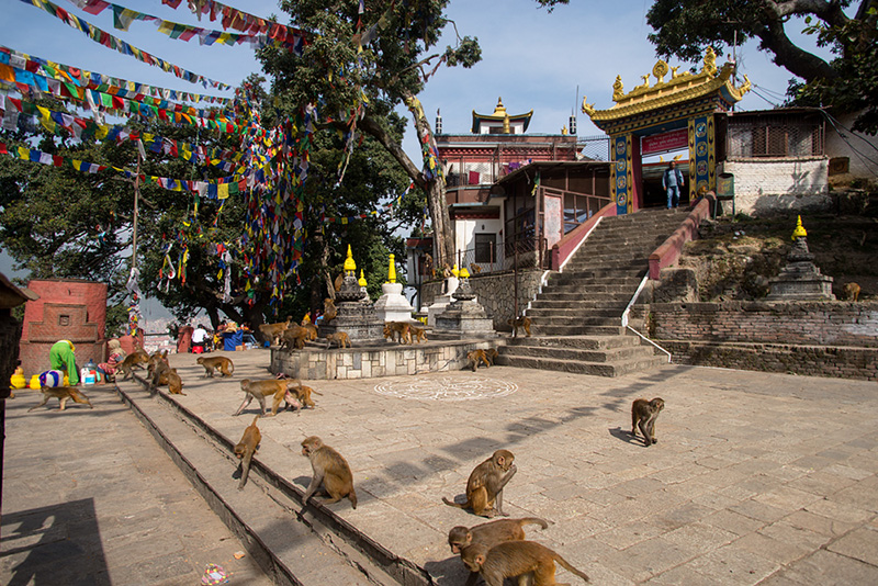 Nepal 19 Swayambhunath 9-11-19