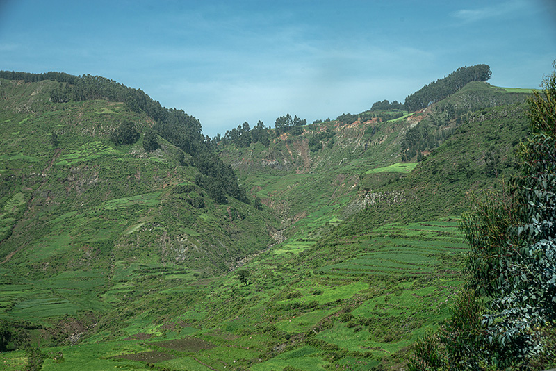 Etiopia: Gondar 22-8-19