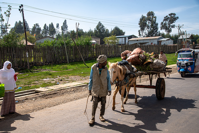 Etiopia: Gondar 22-8-19