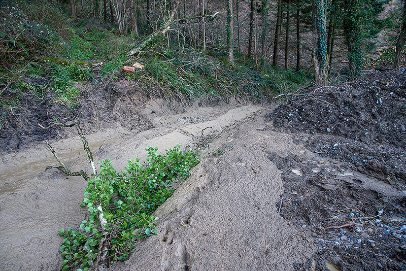 Sallobente 19_01_21