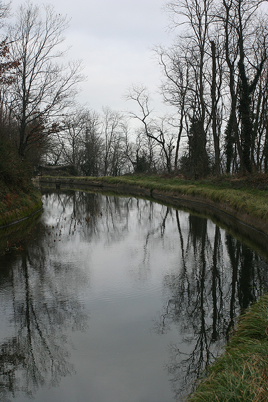 Canal Billabona 25-1-08